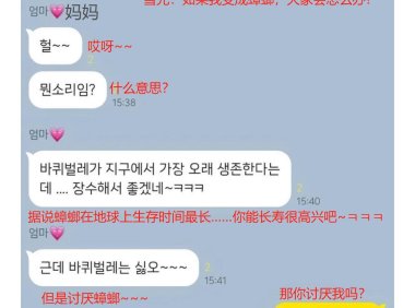 NMIXX：如果我变成蟑螂的话怎么办？