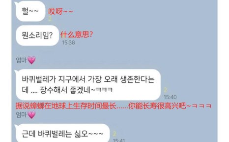 NMIXX:如果我变成蟑螂的话怎么办?