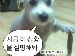 今天惠利、韩韶禧上传的INS(韩韶禧回击惠利)