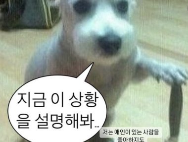 今天惠利、韩韶禧上传的INS(韩韶禧回击惠利)