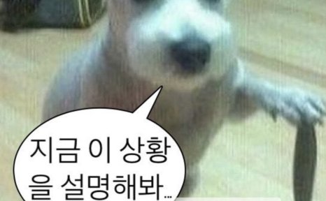 今天惠利、韩韶禧上传的INS(韩韶禧回击惠利)